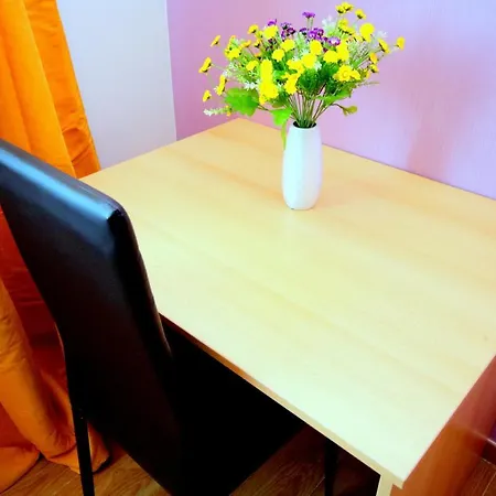 Lägenhet Cozy Timişoara