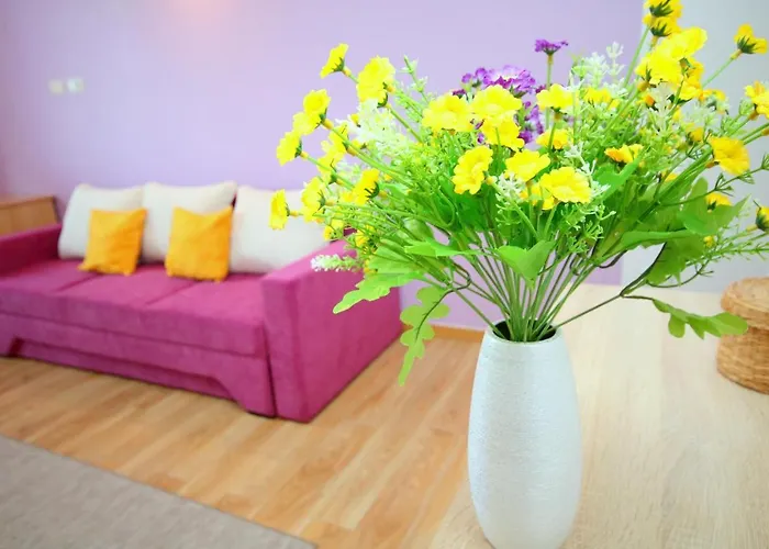 Cozy * Тимишоара