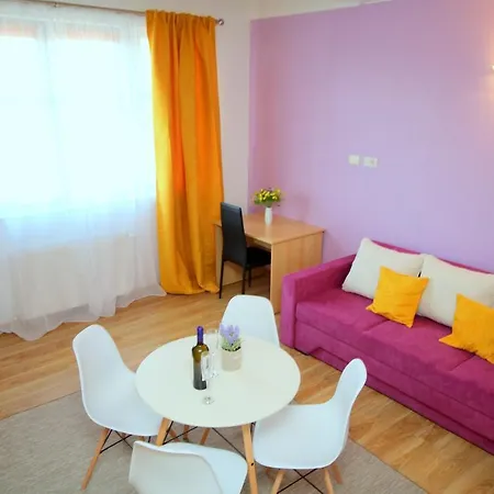 Apartament Cozy Timişoara